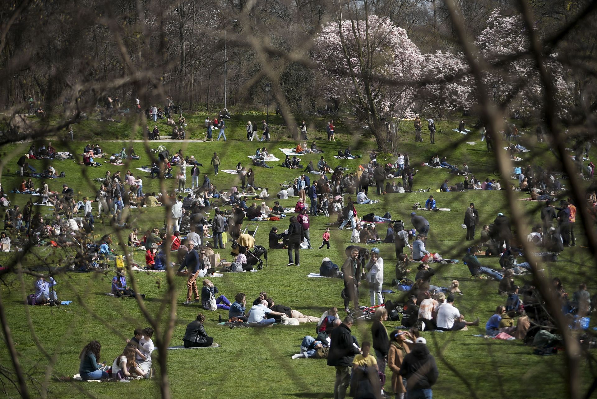 People gather at Prospect Park (Image via Getty)
